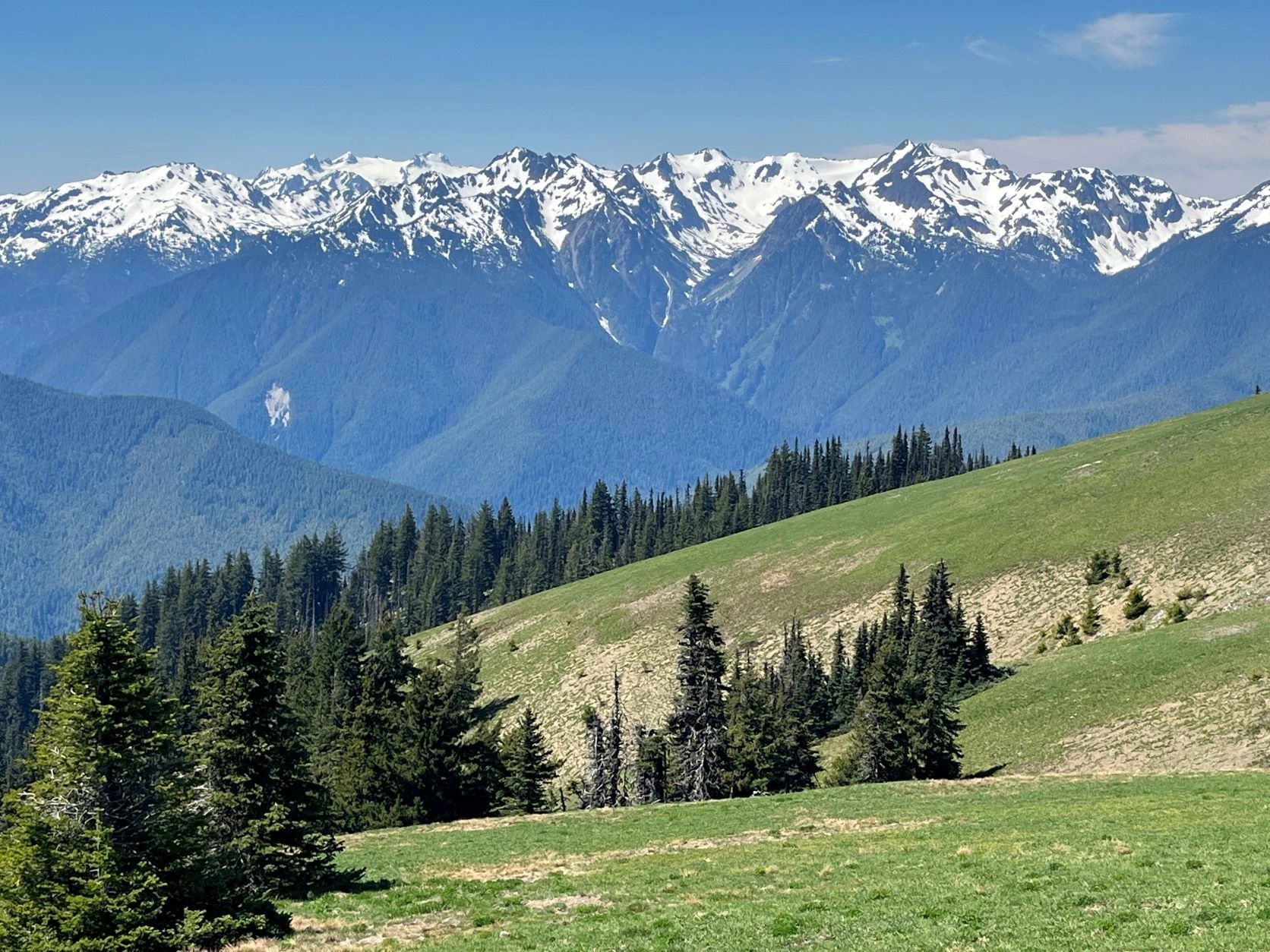 Planning a Visit to Olympic National Park